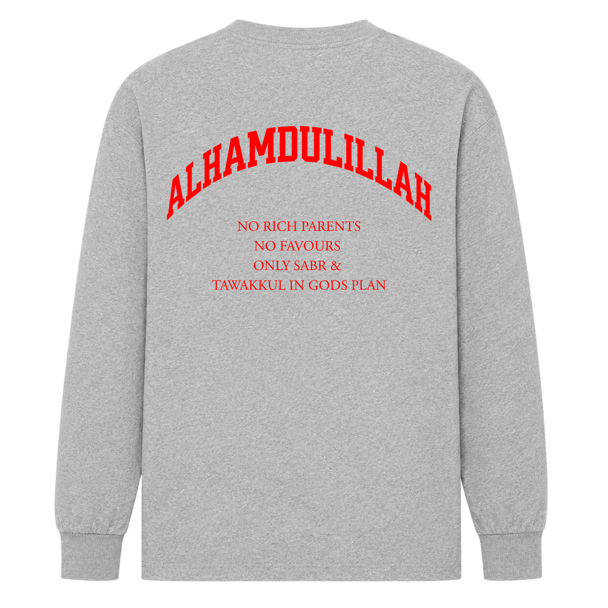 NO RICH PARENTS LONGSLEEVE OVERSIZE FIT - Sport Grey - Rueckseite