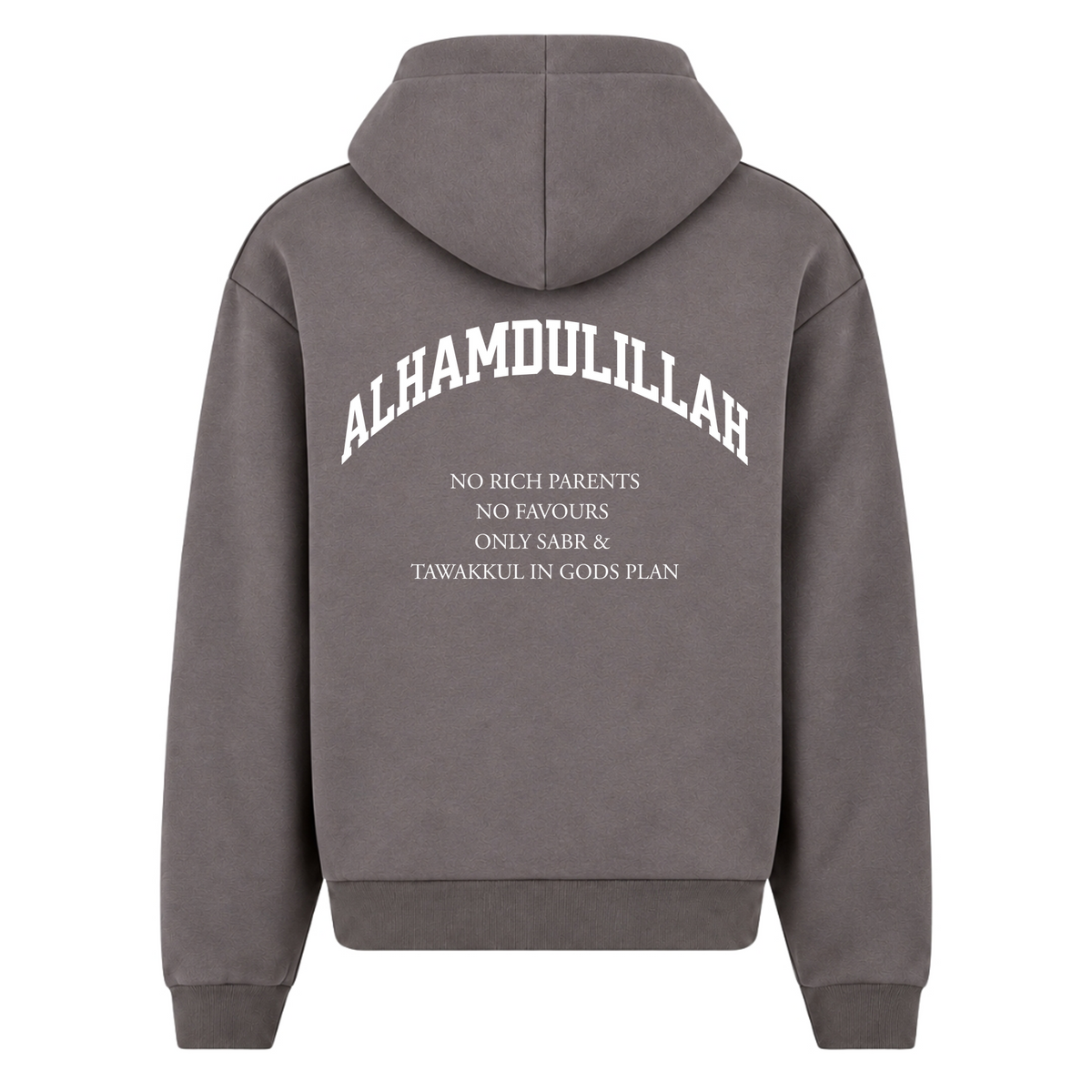 NO RICH PARENTS Oversized Zip Hoodie - Magnet - Rueckseite