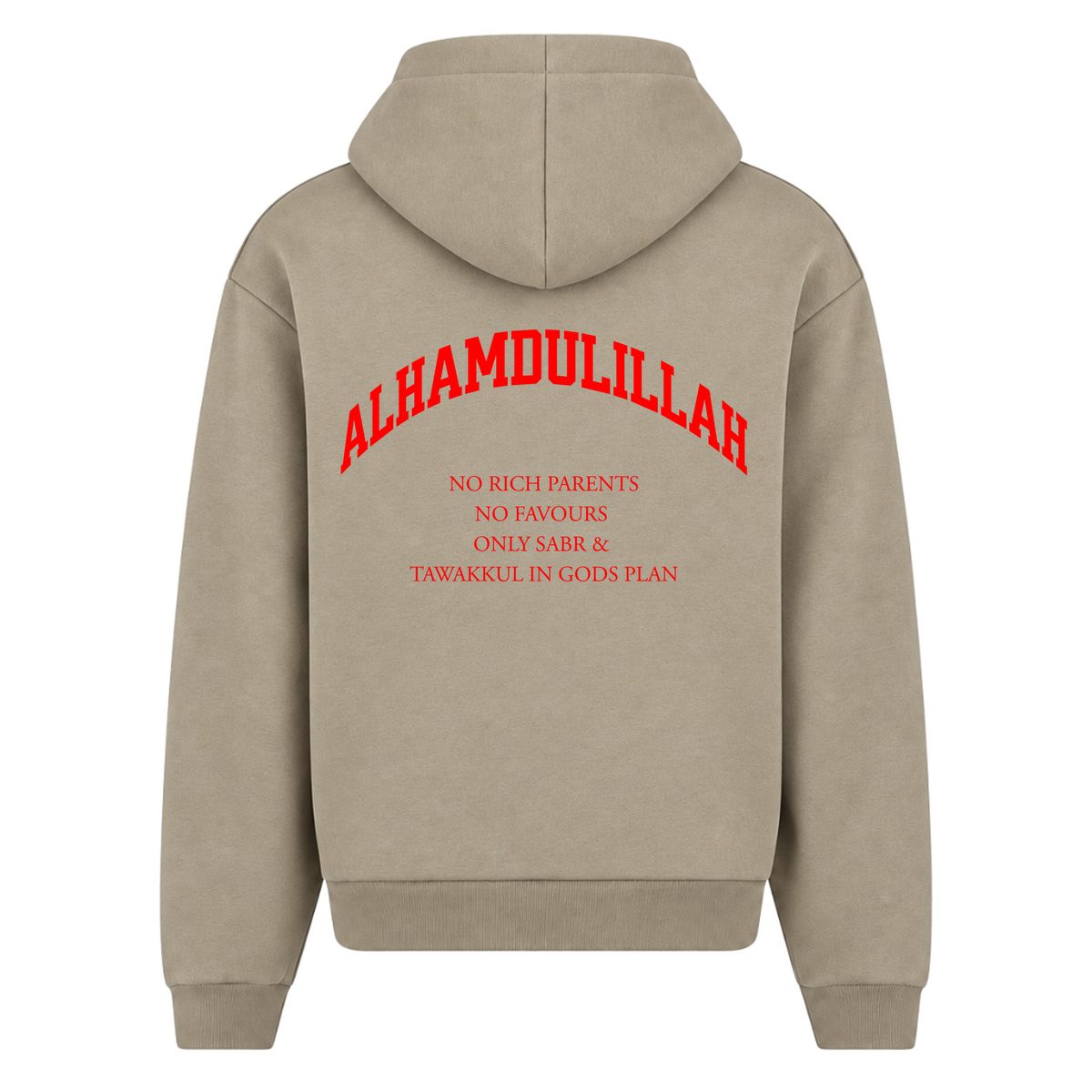 NO RICH PARENTS Oversized Zip Hoodie - Pale Olive - Rueckseite