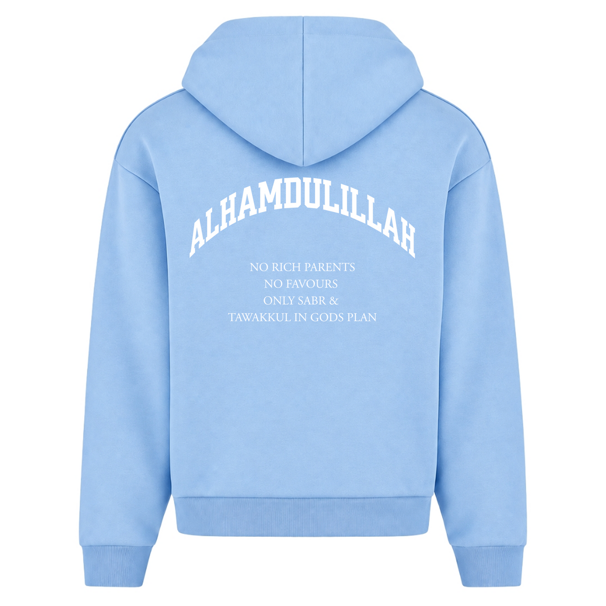 NO RICH PARENTS Oversized Zip Hoodie - Powder Blue - Rueckseite