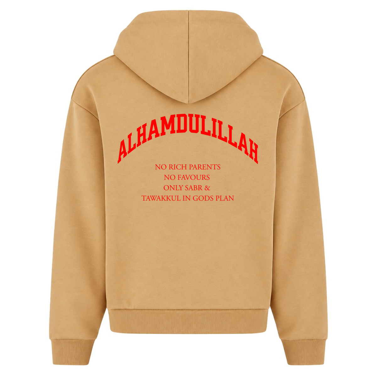 NO RICH PARENTS Oversized Zip Hoodie - U. Beige - Rueckseite